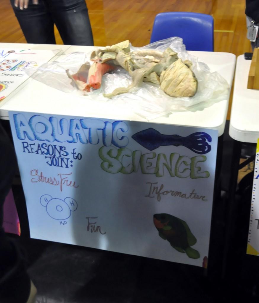Learn about marine life in Aquatic Science. "It's a really easy and fun class," teacher Amy Bujacz said. "We learn aquarium upkeep, fish , squid, and shark dissection. Now we're watching shark week."